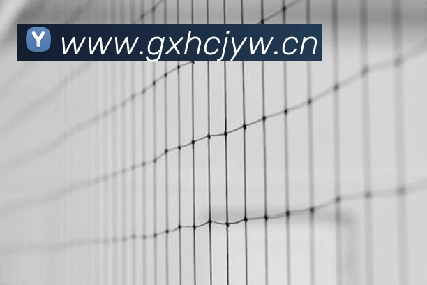 开云官方登录平台生态图